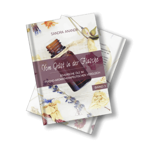 Buch: Vom Geist in der Flasche 1