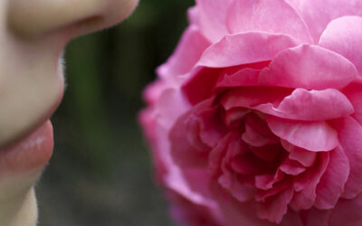 Was ist eigentlich Psycho-Aromatherapie?
