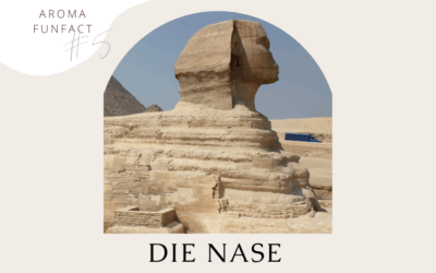 Aroma Funfact #5: Die Nase im Alten Ägypten
