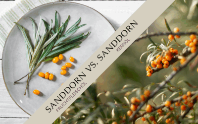 Sanddornfruchtfleischöl vs. Sanddornkernöl