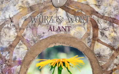 Wurz und Wort: Die Ursprünge der Heilpflanzenkunst & Alant in der ganzheitlichen Aromatherapie