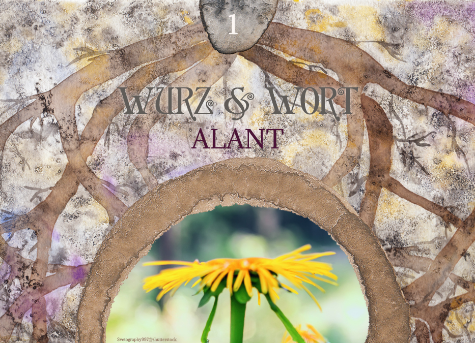 Wurz und Wort: Die Ursprünge der Heilpflanzenkunst & Alant in der ganzheitlichen Aromatherapie