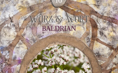 Wort und Wurz: Wurzeln in der Anthroposophie & Baldrian in der ganzheitlichen Aromatherapie