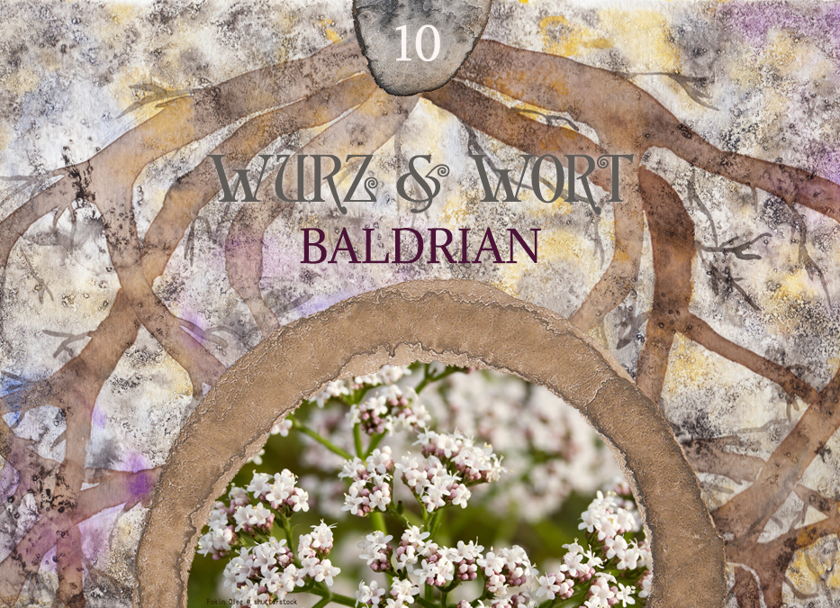 Wort und Wurz: Wurzeln in der Anthroposophie & Baldrian in der ganzheitlichen Aromatherapie