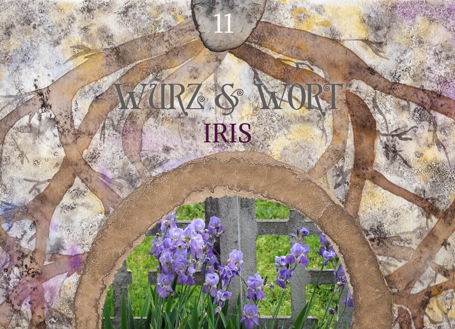 Wurz und Wort: Wurzelöle in der Psycho-Aromatherapie & Iris in der ganzheitlichen Aromatherapie