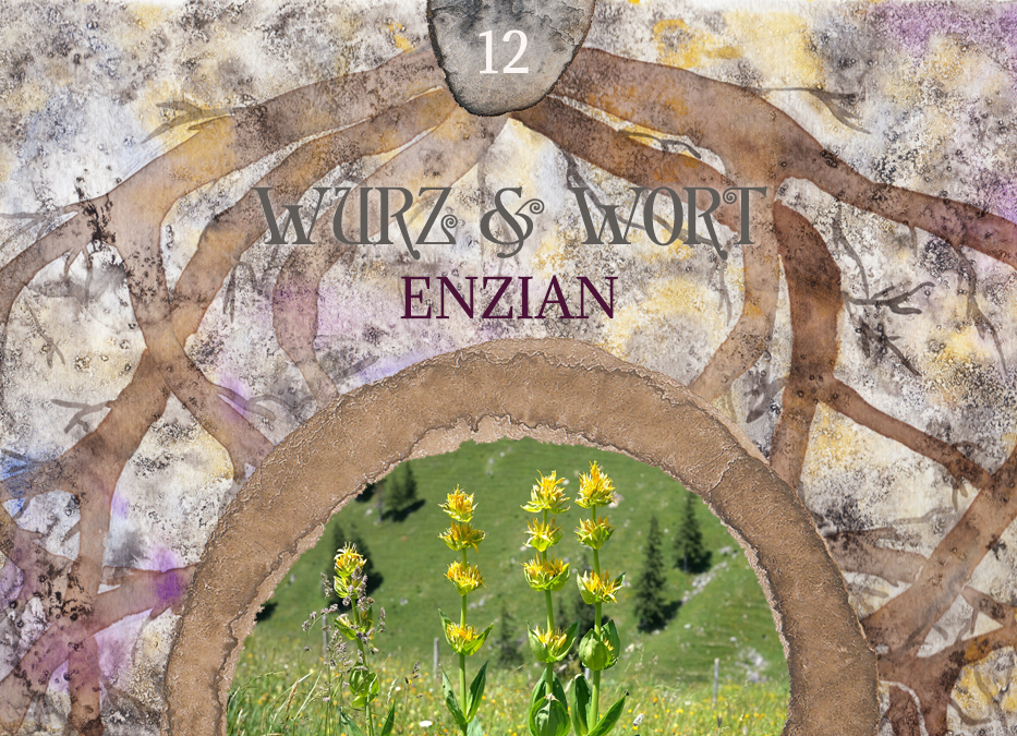 Wurz und Wort: Die Kraft des Wortes & Enzian in der ganzheitlichen Aromatherapie