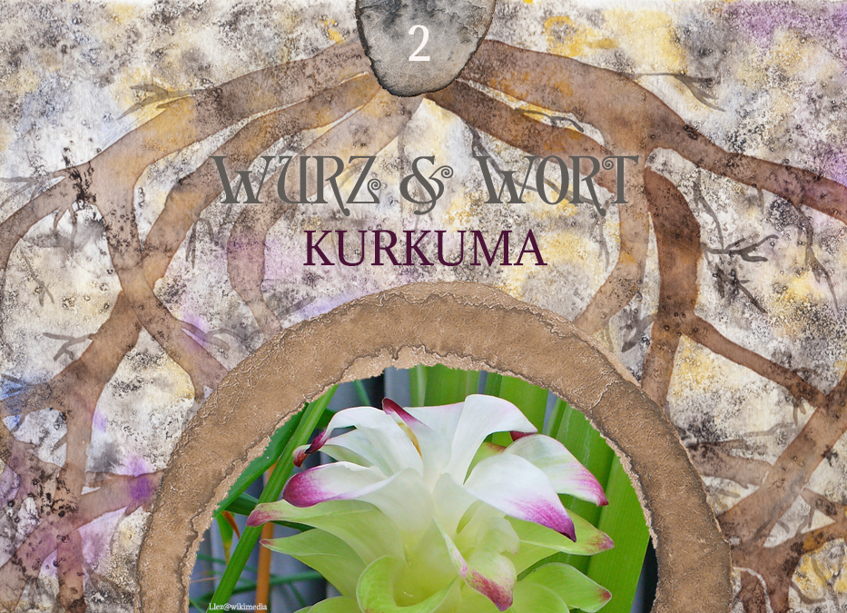 Wort und Wurz: Pflanzen beim Namen rufen & Kurkuma in der ganzheitlichen Aromatherapie