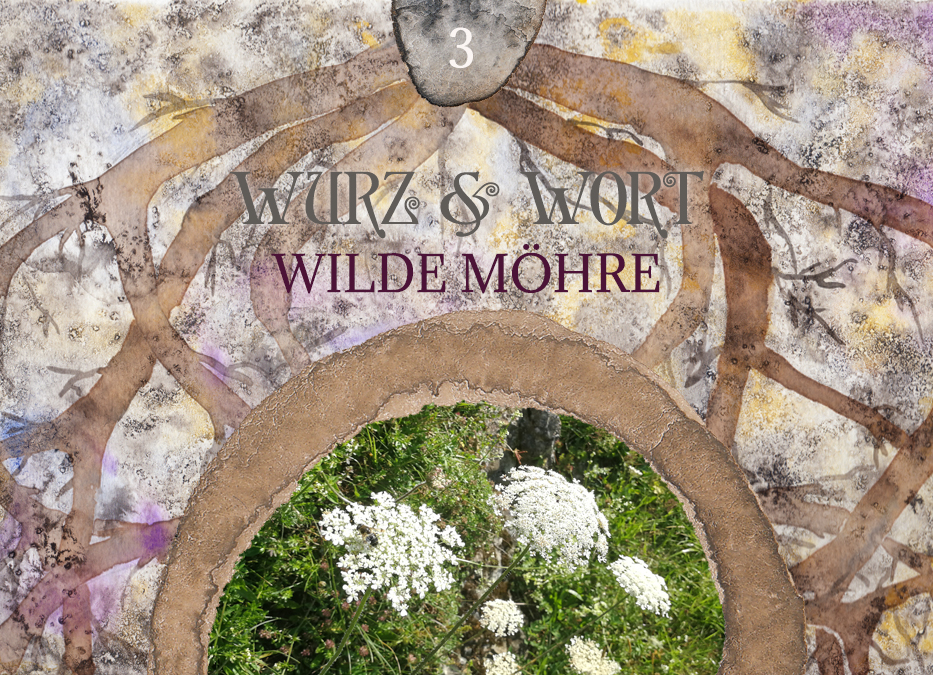 Wort und Wurz: Mehr Wurzeln destillieren & Wilde Möhre in der ganzheitlichen Aromatherapie