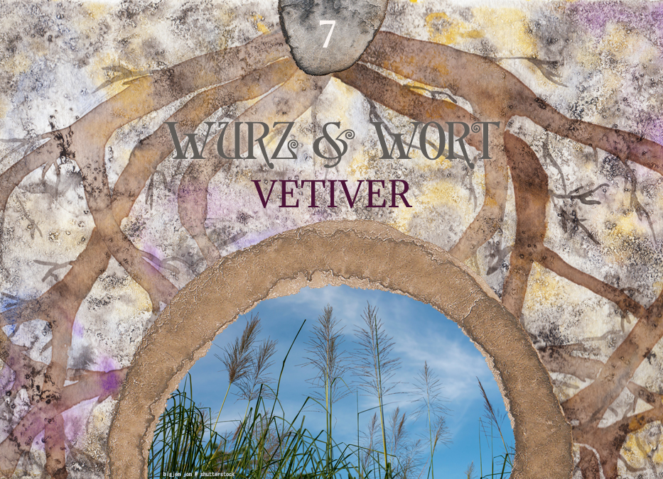 Wort und Wurz: Wurzelchakra & Vetiver in der ganzheitlichen Aromatherapie