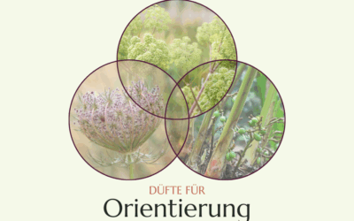 3 Düfte für mehr Orientierung im Leben