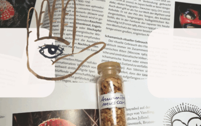 Aromatherapie für Hagazussas – Fliegenpilz