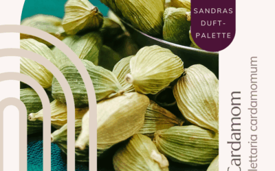 Cardamom – der sanfte Liebhaber