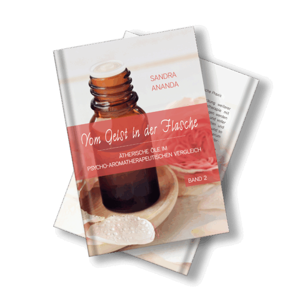 Buch: Vom Geist in der Flasche 2