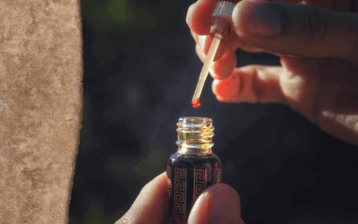 Traditionelle Applikationsorte von Düften – Tibetische Medizin