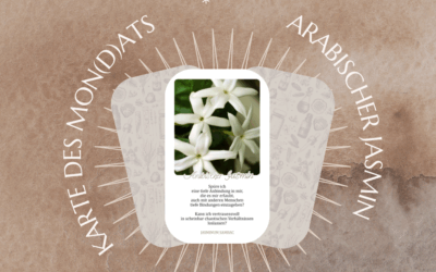 Neumond 10.3.24 – Arabischer Jasmin