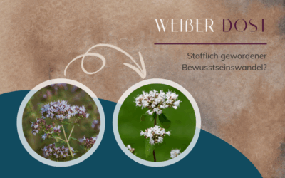 Weißer Dost – Stofflich gewordener Bewusstseinswandel?