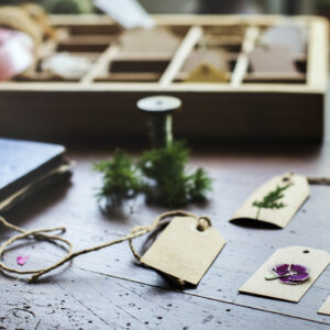 Onlinekurs: Botanische Namen verstehen und erinnern